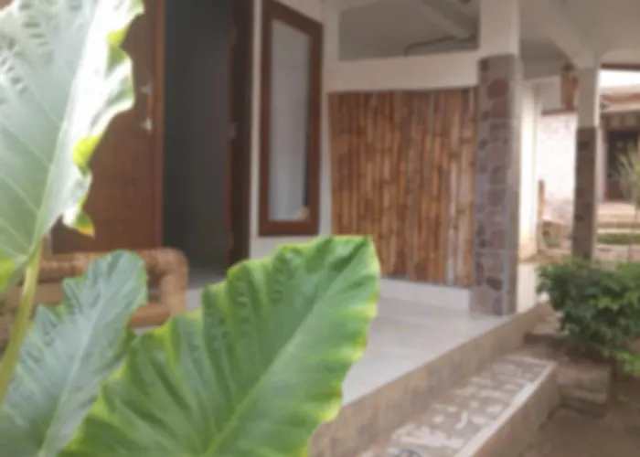 Maeza Homestay