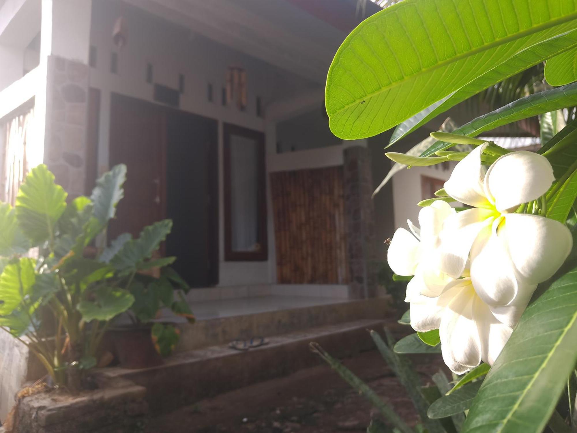 Maeza Homestay *